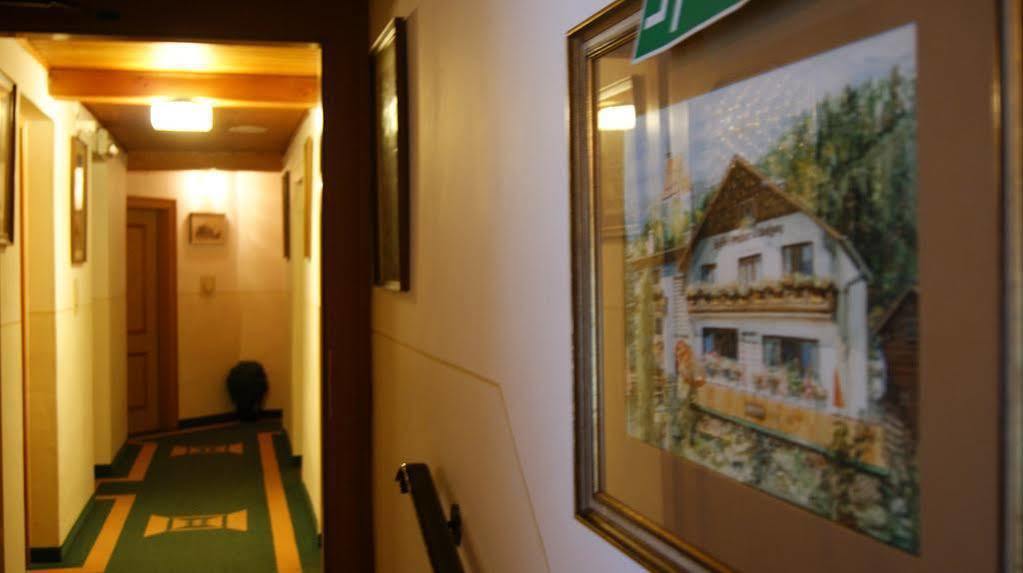 Gasthof Pension St. Wolfgang Кирхберг-ам-Вексель Экстерьер фото